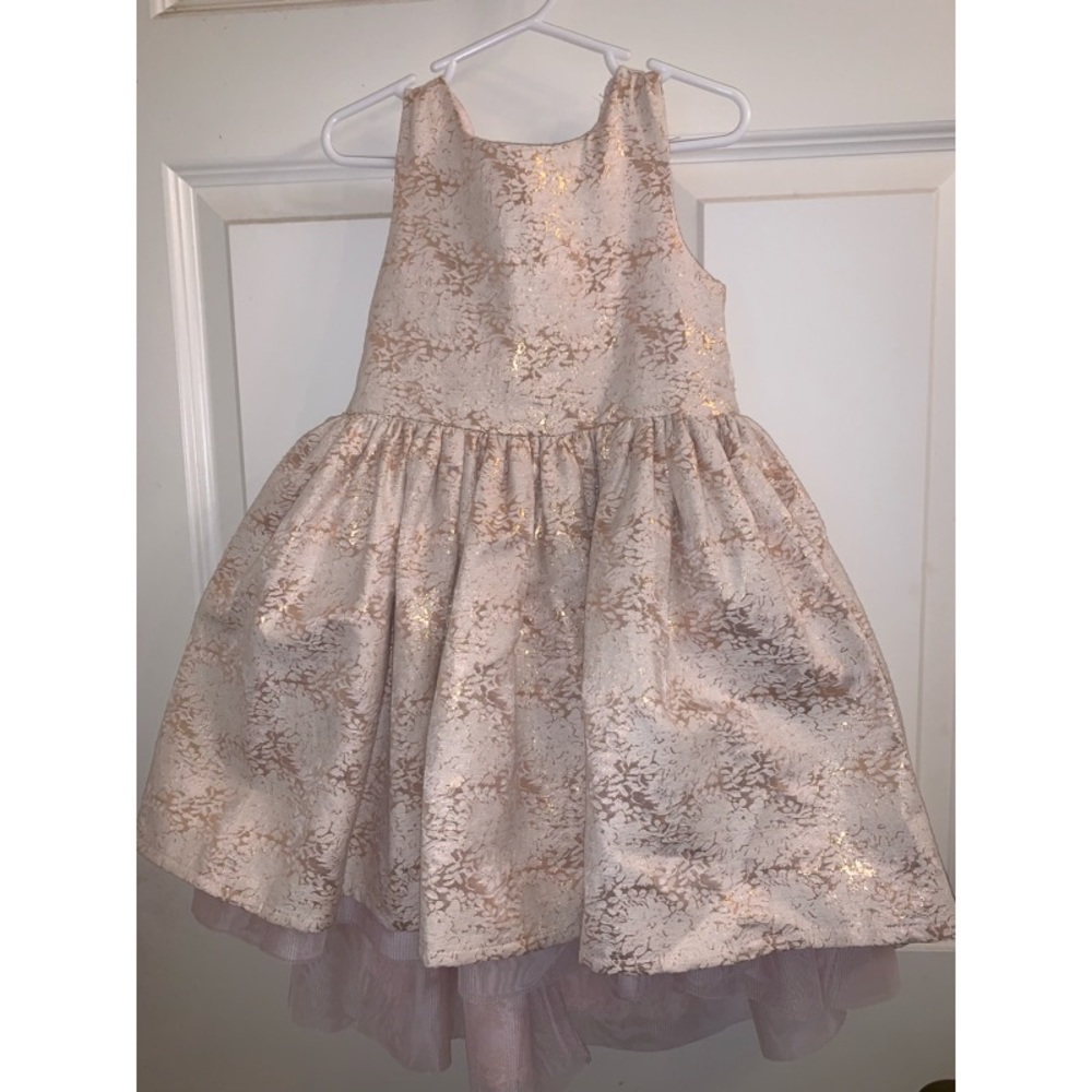 Pink and Gold Dress